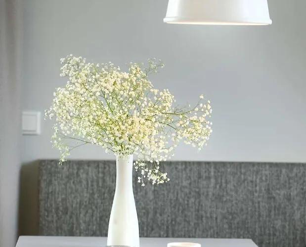 Toewerhus - Auster * ユイスト